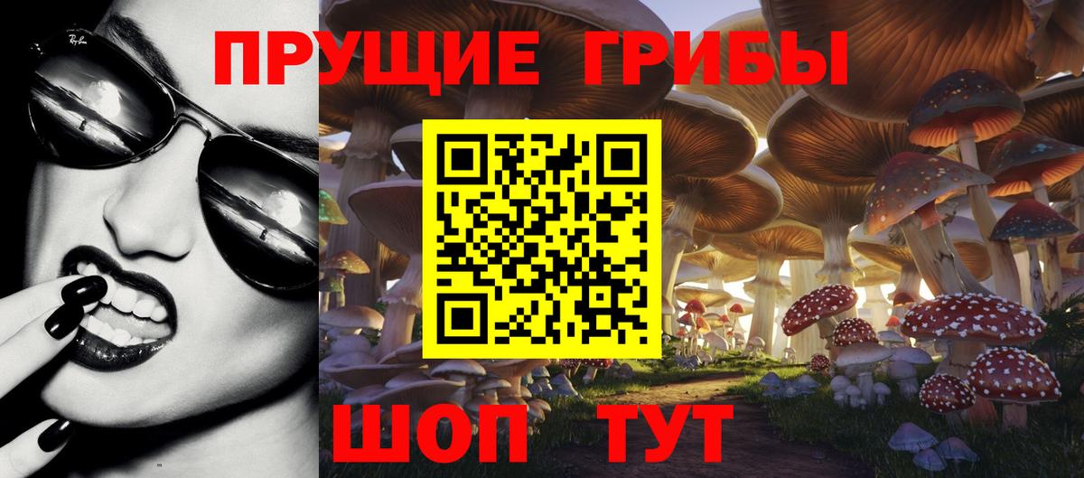 Галлюциногенные грибы Psilocybe  Вход с VPN  Псилоцибиновые грибы Magic Shrooms  Сибай 